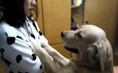 videosdesexo.tv日本